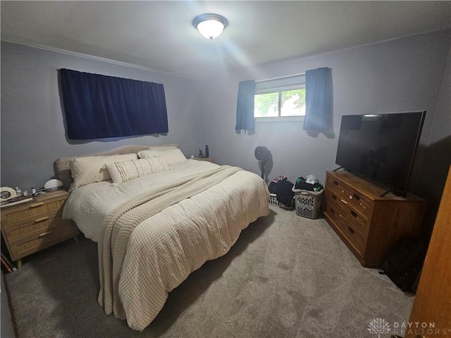 103 N Taylor St Unit 101, Farmersville, OH 45325 - view of carpeted bedroom