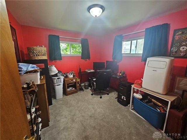 103 N Taylor St Unit 101, Farmersville, OH 45325 - office space featuring healthy amount of natural light and carpet floors