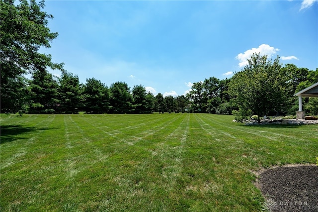 7949 Bending Willow Ct, Clearcreek Twp, OH 45068 - view of grassy yard