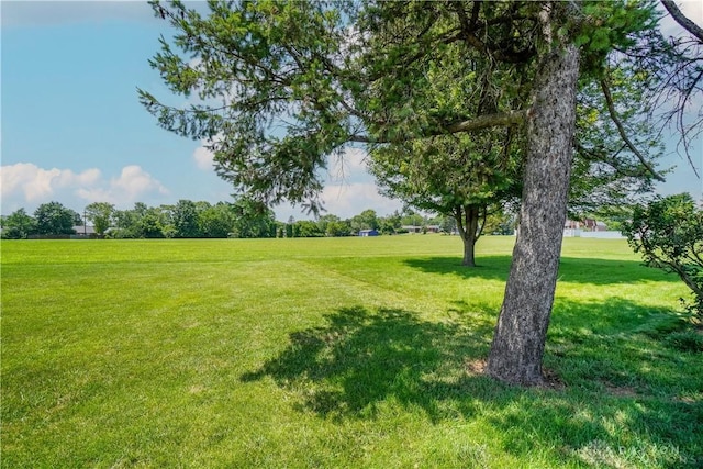 1233 Cleveland Ave, Hamilton, OH 45013 - photo 51