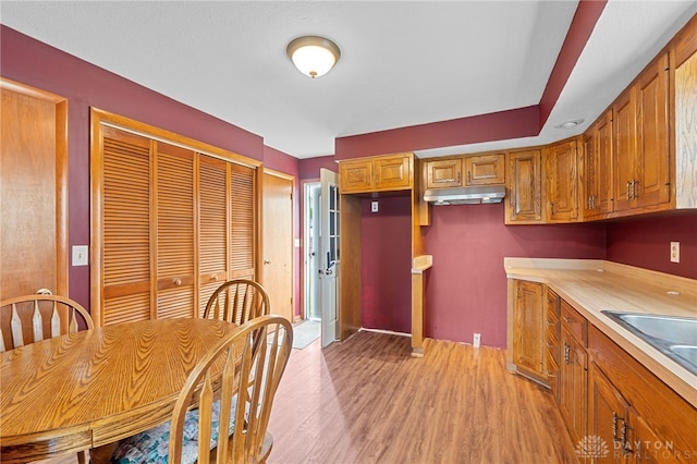 250 Pat Ln, Fairborn, OH 45324 - kitchen with light wood-type flooring, brown cabinetry, and light countertops