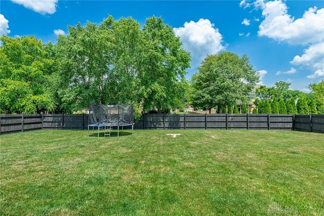 1171 Red Ash Ct, Washington Twp, OH 45458 - photo 50