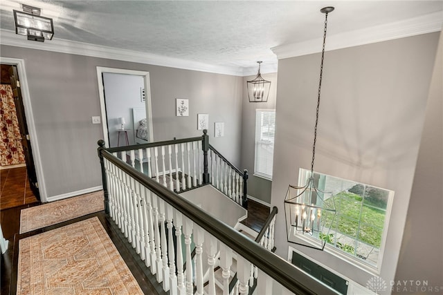 1171 Red Ash Ct, Washington Twp, OH 45458 - photo 21