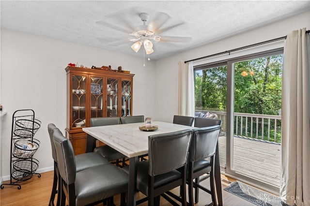 6935 Paragon Rd, Washington Twp, OH 45459 - photo 15