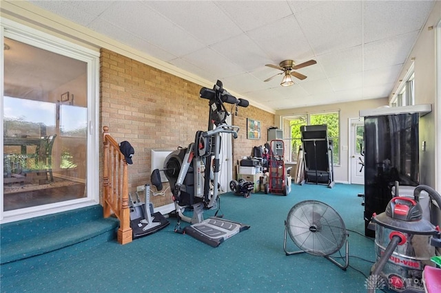 1009 Cottage Court Dr, Fairborn, OH 45324 - exercise area featuring carpet flooring, ceiling fan, brick wall, and a paneled ceiling