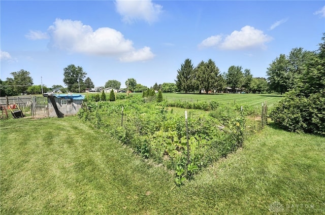 204 Ivy Creek Cv, Jamestown Vlg, OH 45335 - view of yard