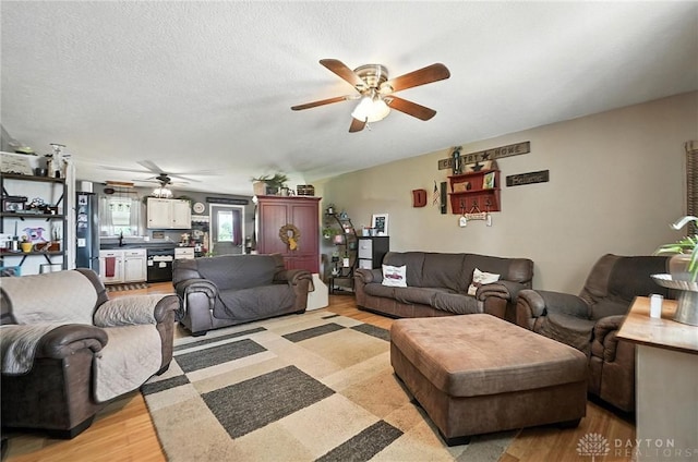 204 Ivy Creek Cv, Jamestown Vlg, OH 45335 - living room featuring a ceiling fan and light wood-style floors