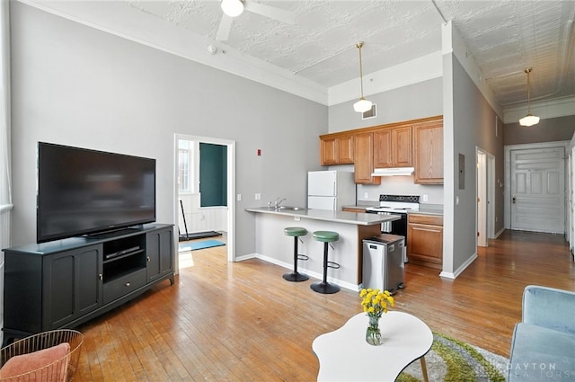 226 Mcdaniel St Unit 160, Dayton, OH 45405 - living area with light wood finished floors, a towering ceiling, and ceiling fan