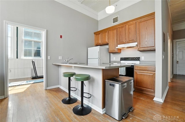 226 Mcdaniel St Unit 160, Dayton, OH 45405 - kitchen featuring freestanding refrigerator, electric stove, under cabinet range hood, light wood-style floors, and a breakfast bar