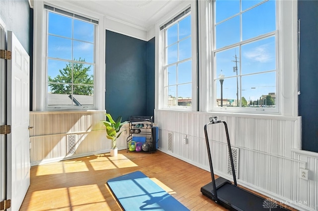 226 Mcdaniel St Unit 160, Dayton, OH 45405 - workout room featuring wood finished floors and ornamental molding