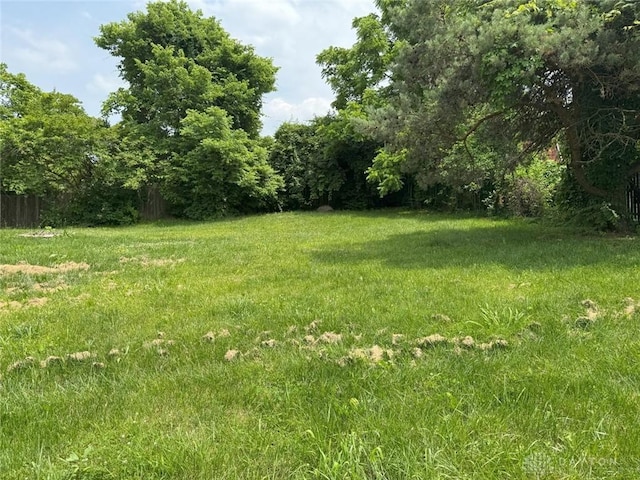 6686 Catskill Dr, Franklin, OH 45005 - view of yard