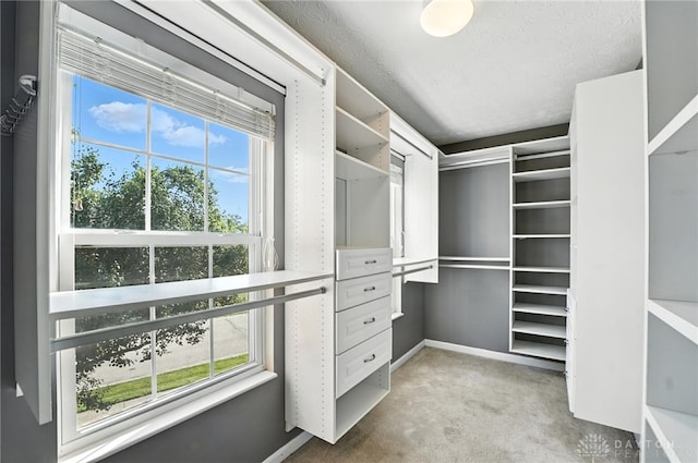 4300 Turtledove Way, Miamisburg, OH 45342 - walk in closet featuring carpet flooring