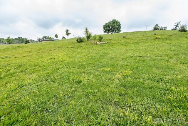 557 W N Bend Rd, Springfield Twp, OH 45224 - view of green lawn with a rural view