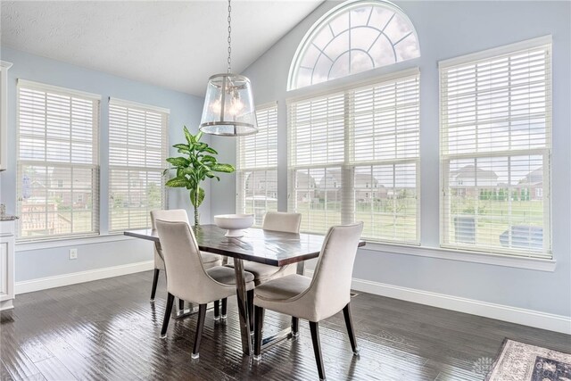9282 Maple Brook St, Clearcreek Twp, OH 45458 - dining area featuring healthy amount of natural light, vaulted ceiling, and dark wood-style floors