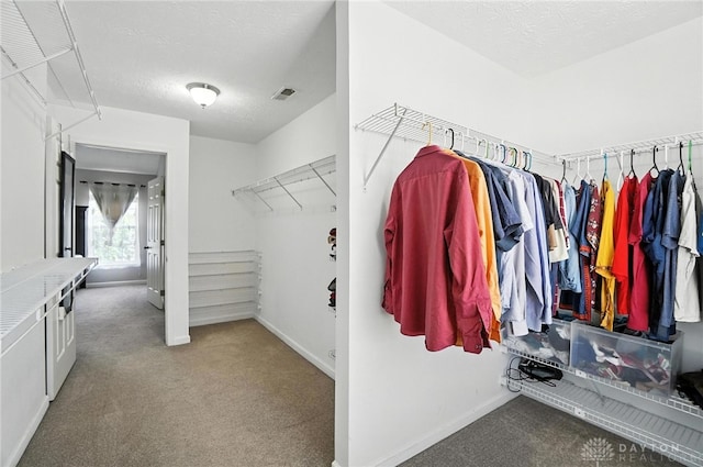 3492 King Edward Way, Beavercreek, OH 45431 - walk in closet with carpet flooring