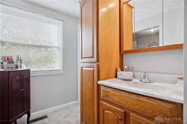 5431 Flicker Way, Dayton, OH 45424 - bathroom with vanity and a textured ceiling