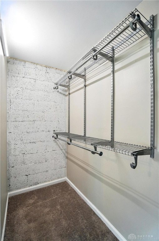 4503 Central Ave, Middletown, OH 45044 - walk in closet with dark colored carpet