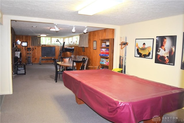 3235 W Ziegler Rd, Piqua, OH 45356 - playroom featuring wooden walls, a textured ceiling, carpet floors, pool table, and rail lighting