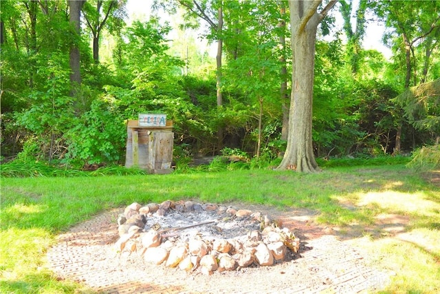 3235 W Ziegler Rd, Piqua, OH 45356 - view of yard