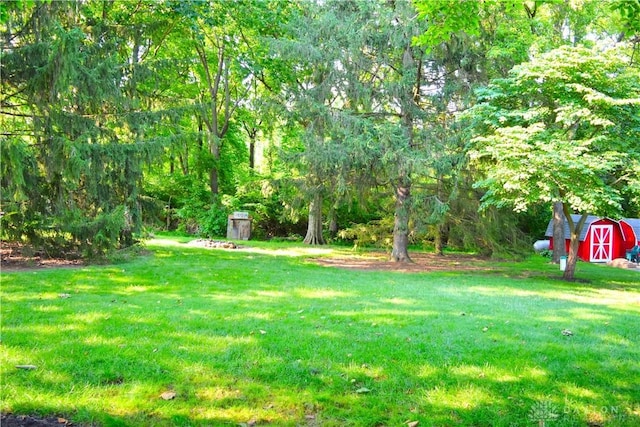 3235 W Ziegler Rd, Piqua, OH 45356 - view of grassy yard featuring a storage unit
