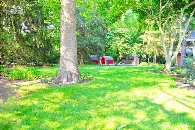 3235 W Ziegler Rd, Piqua, OH 45356 - view of green lawn featuring a storage unit