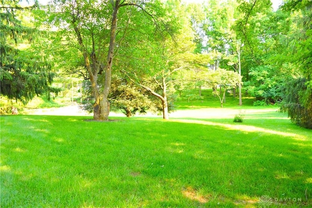 3235 W Ziegler Rd, Piqua, OH 45356 - view of grassy yard