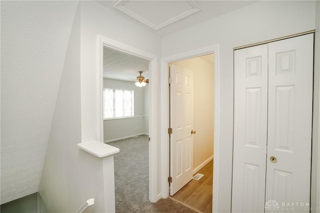 9446 Haddington Ct Unit 200, Cincinnati, OH 45251 - corridor with carpet floors and attic access