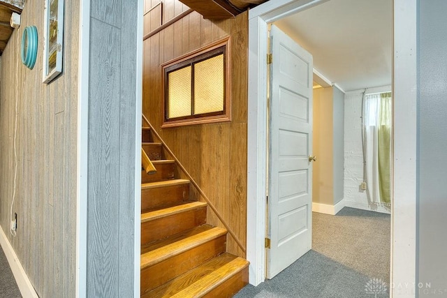3318 US Route 42, Cedarville Twp, OH 45314 - stairs featuring carpet and baseboards