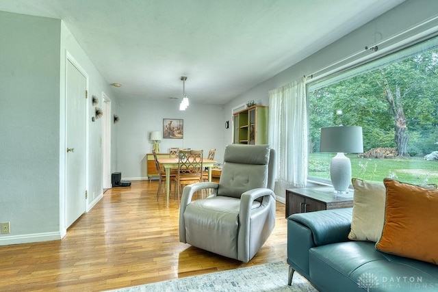 3318 US Route 42, Cedarville Twp, OH 45314 - living area featuring light wood-style floors and plenty of natural light