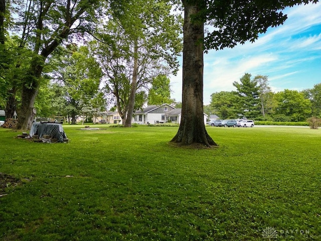 3318 US Route 42, Cedarville Twp, OH 45314 - view of grassy yard