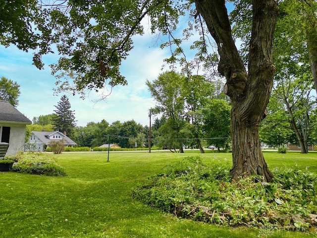 3318 US Route 42, Cedarville Twp, OH 45314 - view of green lawn