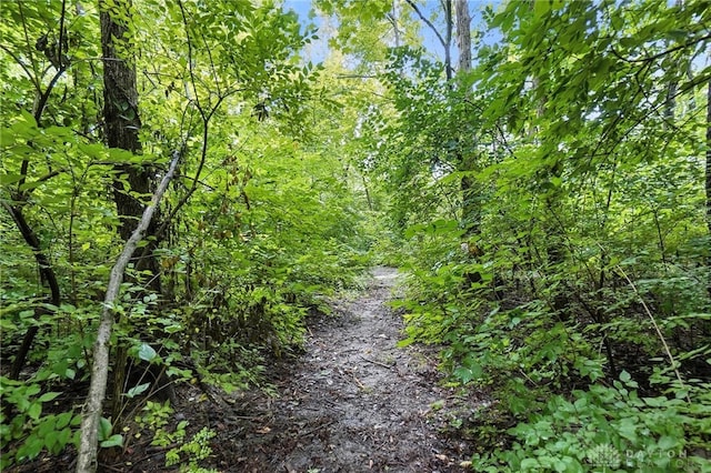 2210 Hidden Woods Blvd, Beavercreek, OH 45431 - view of woods
