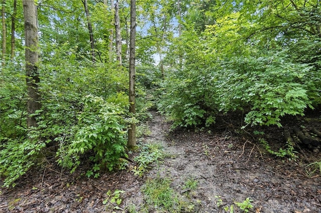 2210 Hidden Woods Blvd, Beavercreek, OH 45431 - view of local wilderness