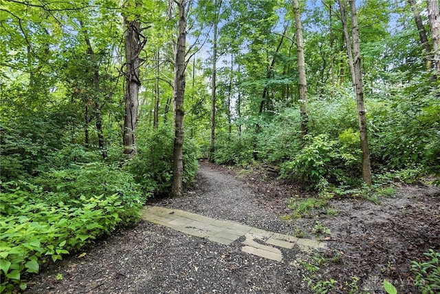 2210 Hidden Woods Blvd, Beavercreek, OH 45431 - view of yard with a forest view