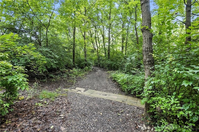 2210 Hidden Woods Blvd, Beavercreek, OH 45431 - view of street with a view of trees