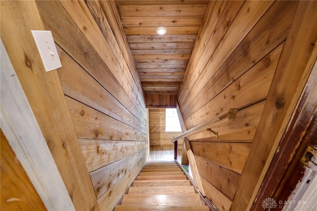 11920 State Route 725, Germantown, OH 45327 - stairway featuring wooden ceiling, wood walls, vaulted ceiling, and wood finished floors