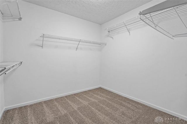 4182 Fox Fern Ct, Beavercreek, OH 45432 - walk in closet featuring carpet
