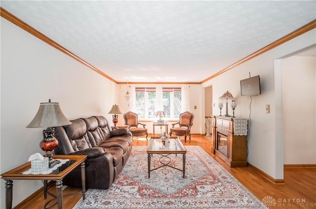 429 Rader Dr, Vandalia, OH 45377 - living area featuring crown molding, light wood finished floors, a textured ceiling, and a glass covered fireplace