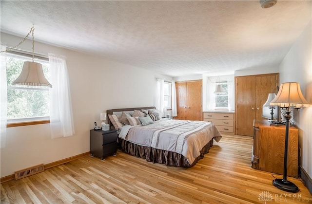 429 Rader Dr, Vandalia, OH 45377 - bedroom with multiple windows, light wood-style flooring, a textured ceiling, and multiple closets