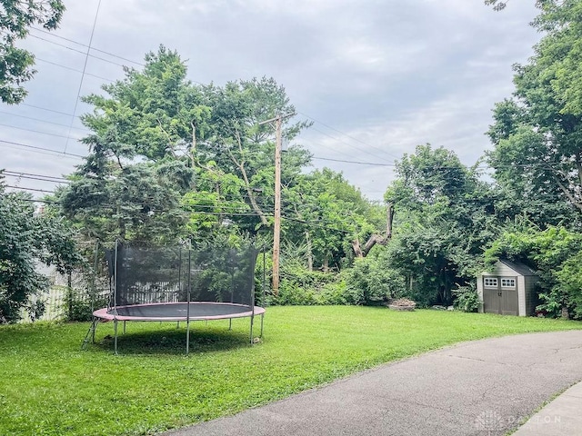 1110 E Main St, Troy, OH 45373 - view of green lawn with a trampoline and a shed