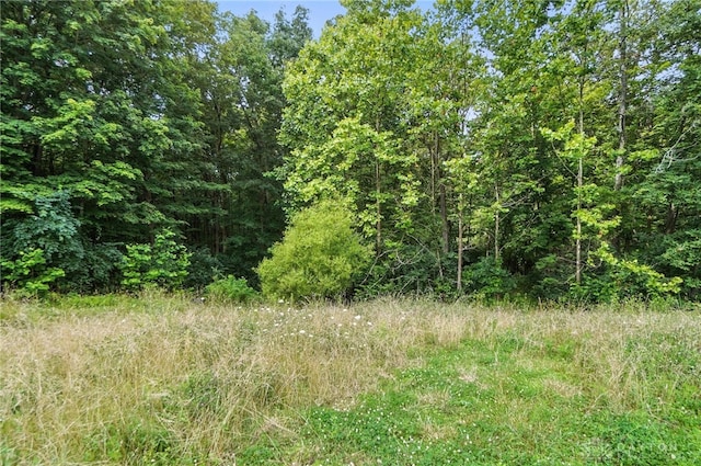 6845 Cozaddale Rd, Goshen, OH 45122 - photo 33