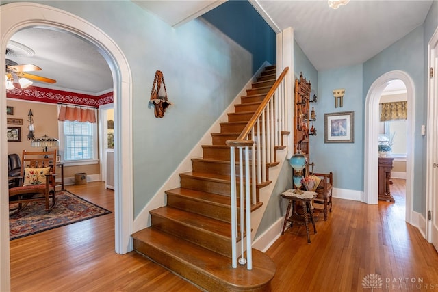 288 N King St, Xenia, OH 45385 - staircase with arched walkways, wood finished floors, and ceiling fan