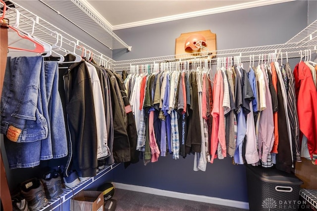 4095 N State Route 42, Waynesville, OH 45068 - spacious closet featuring carpet flooring