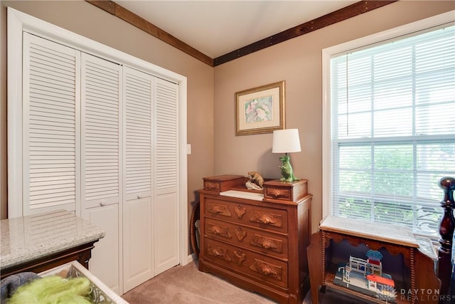 4095 N State Route 42, Waynesville, OH 45068 - bedroom featuring light carpet and a closet