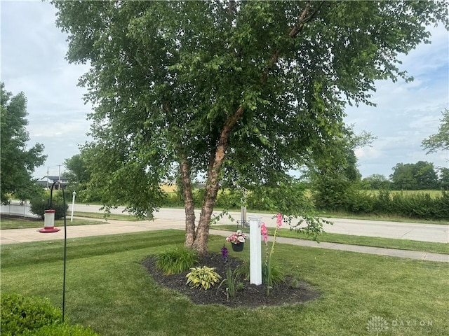 39 Heckathorn Rd, Brookville, OH 45309 - photo 2