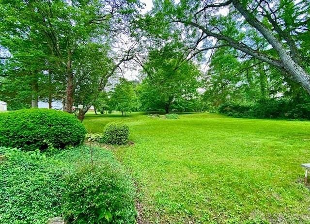 9476 Sheehan Rd, Dayton, OH 45458 - view of green lawn