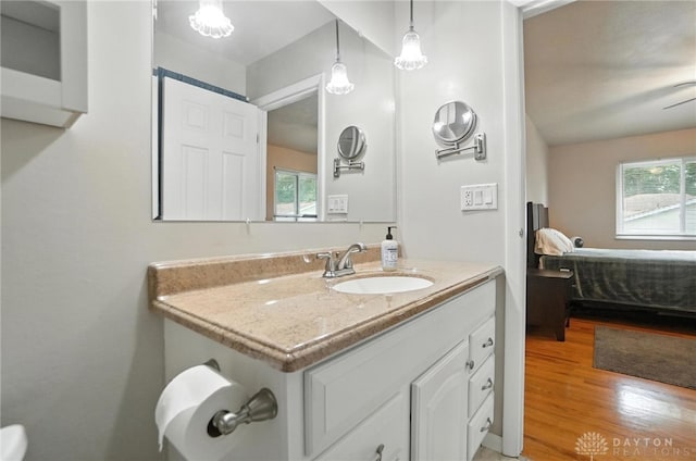 1360 Fenway Ct, Centerville, OH 45458 - ensuite bathroom featuring vanity and wood finished floors