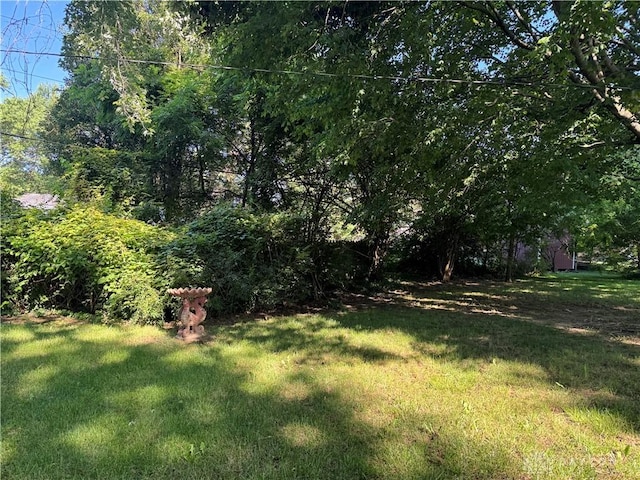 1059 Apollo, Xenia Twp, OH 45385 - view of green lawn