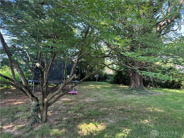 1059 Apollo, Xenia Twp, OH 45385 - view of grassy yard