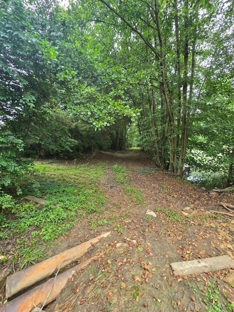 7143 S State Route 123, Blanchester, OH 45107 - view of yard